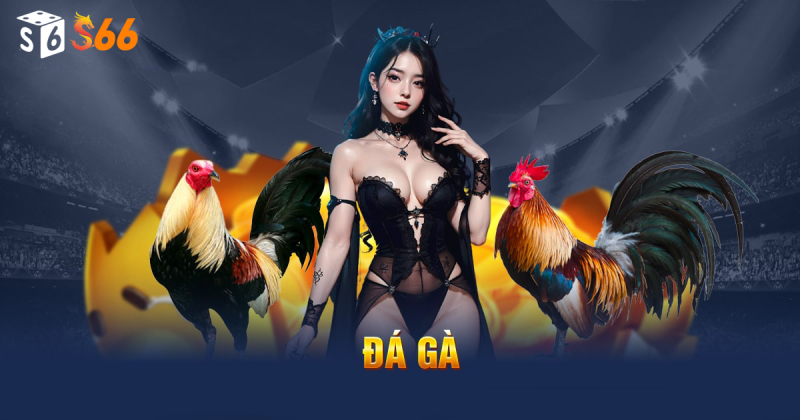 Đá gà S66 live trực tiếp với đầy sự hấp dẫn